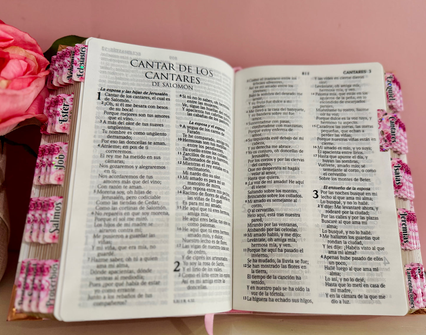 BIblia para mujer color Rosado pastel