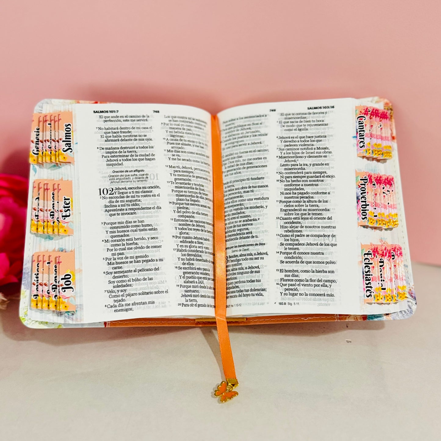 Biblias tamaño bolsillo personalizada con nombre y separadores