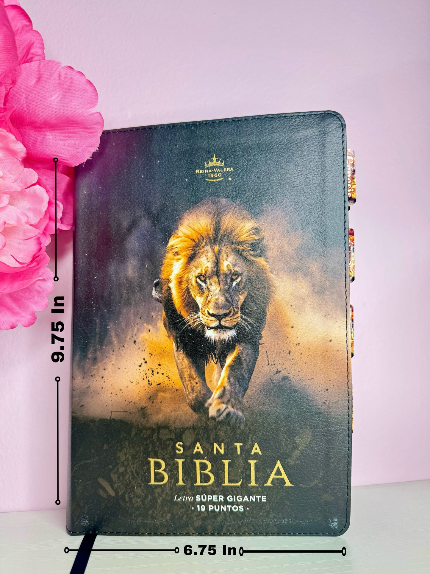 Biblia del Leon con nombre y separadores