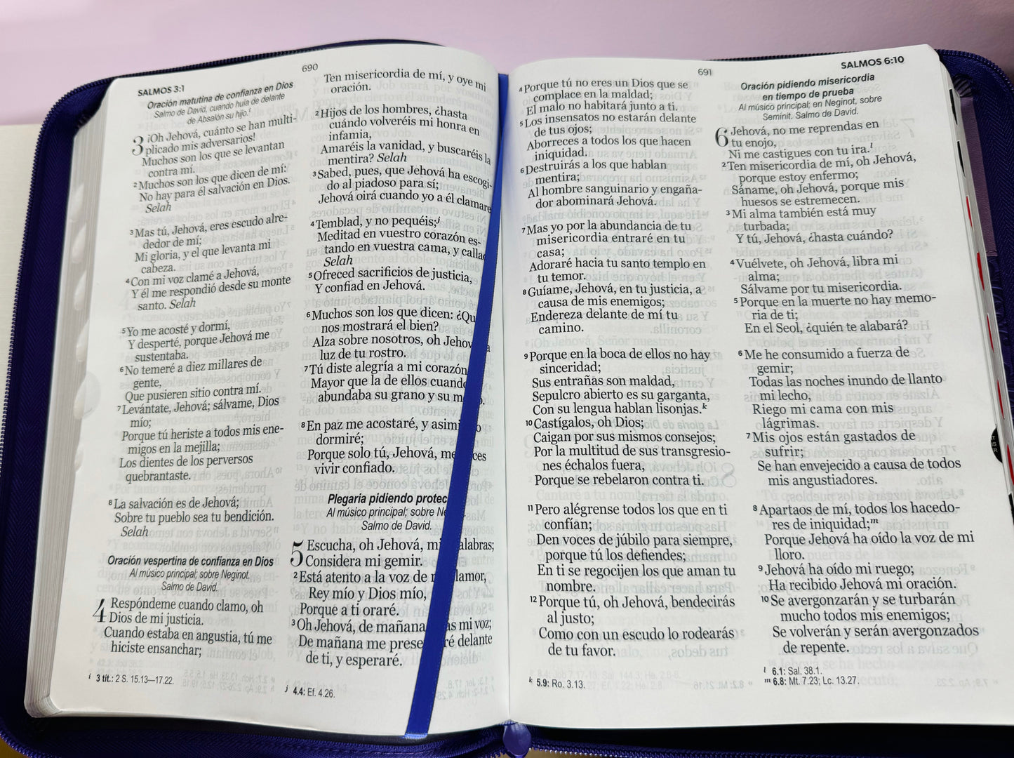 Biblia con nombre Letra Gigante 15 puntos color Morado