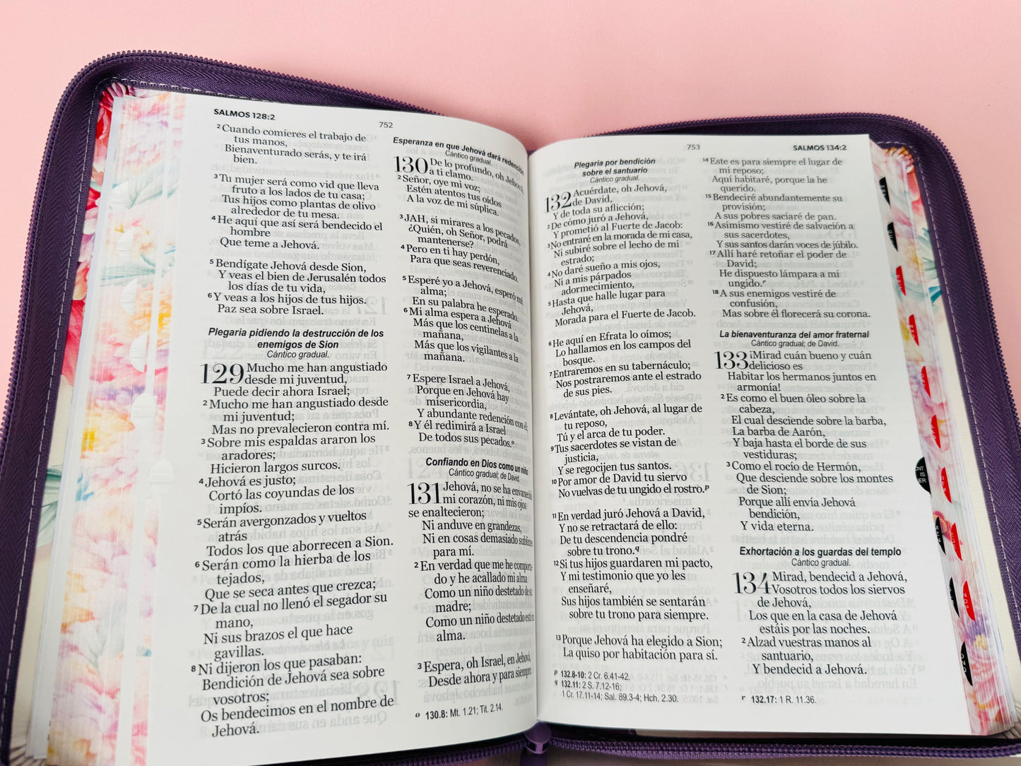Biblia con cierre color morado