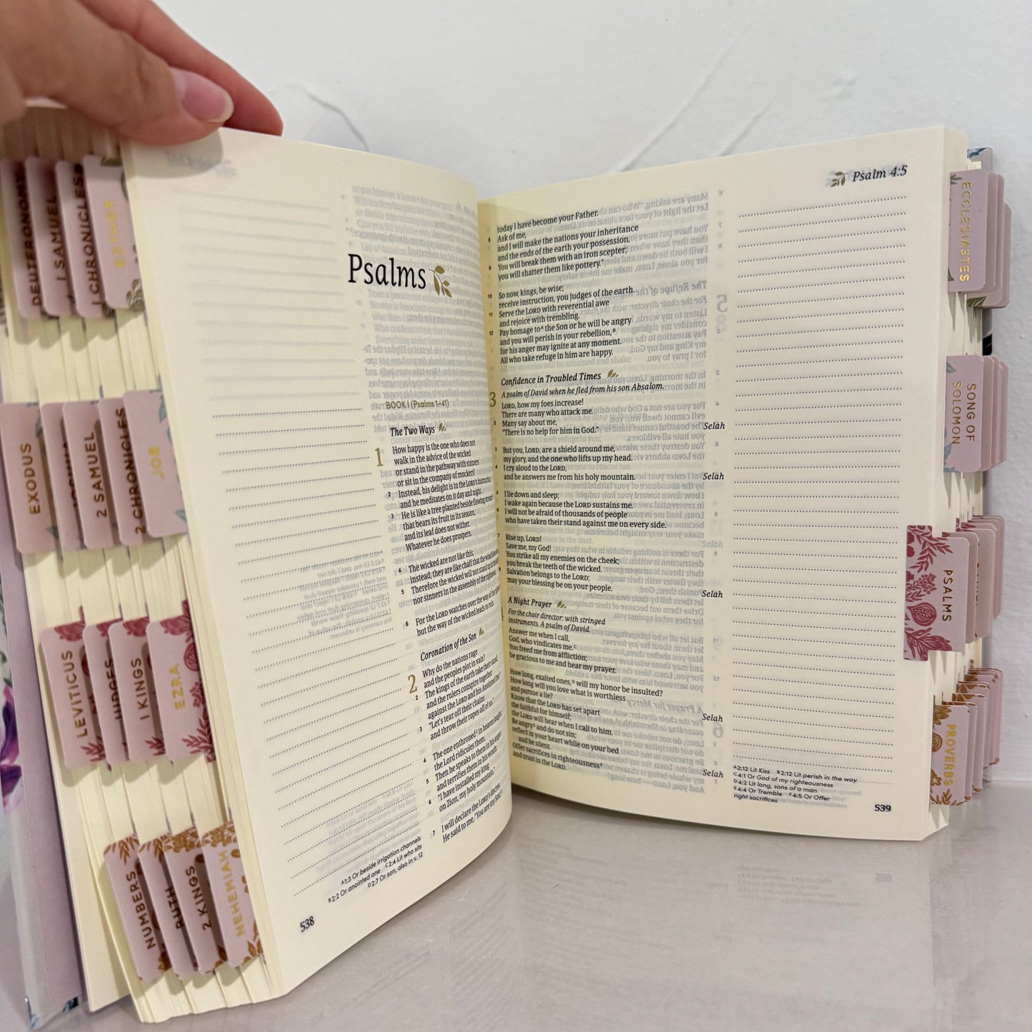 CSB Hosanna Revival Bible