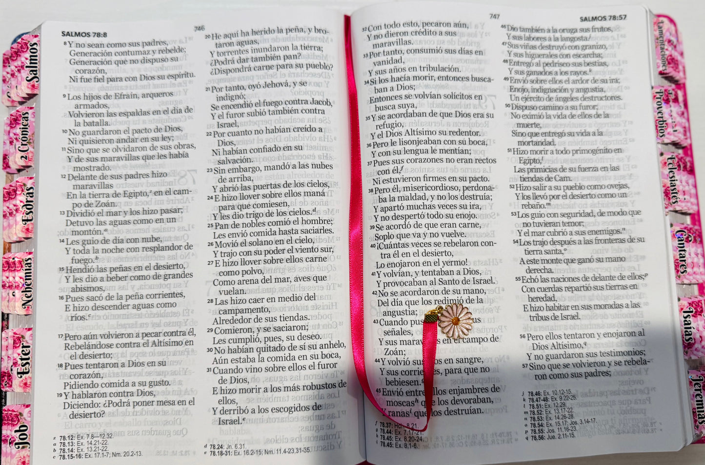 Biblia Arbol de Vida personalizada RV60