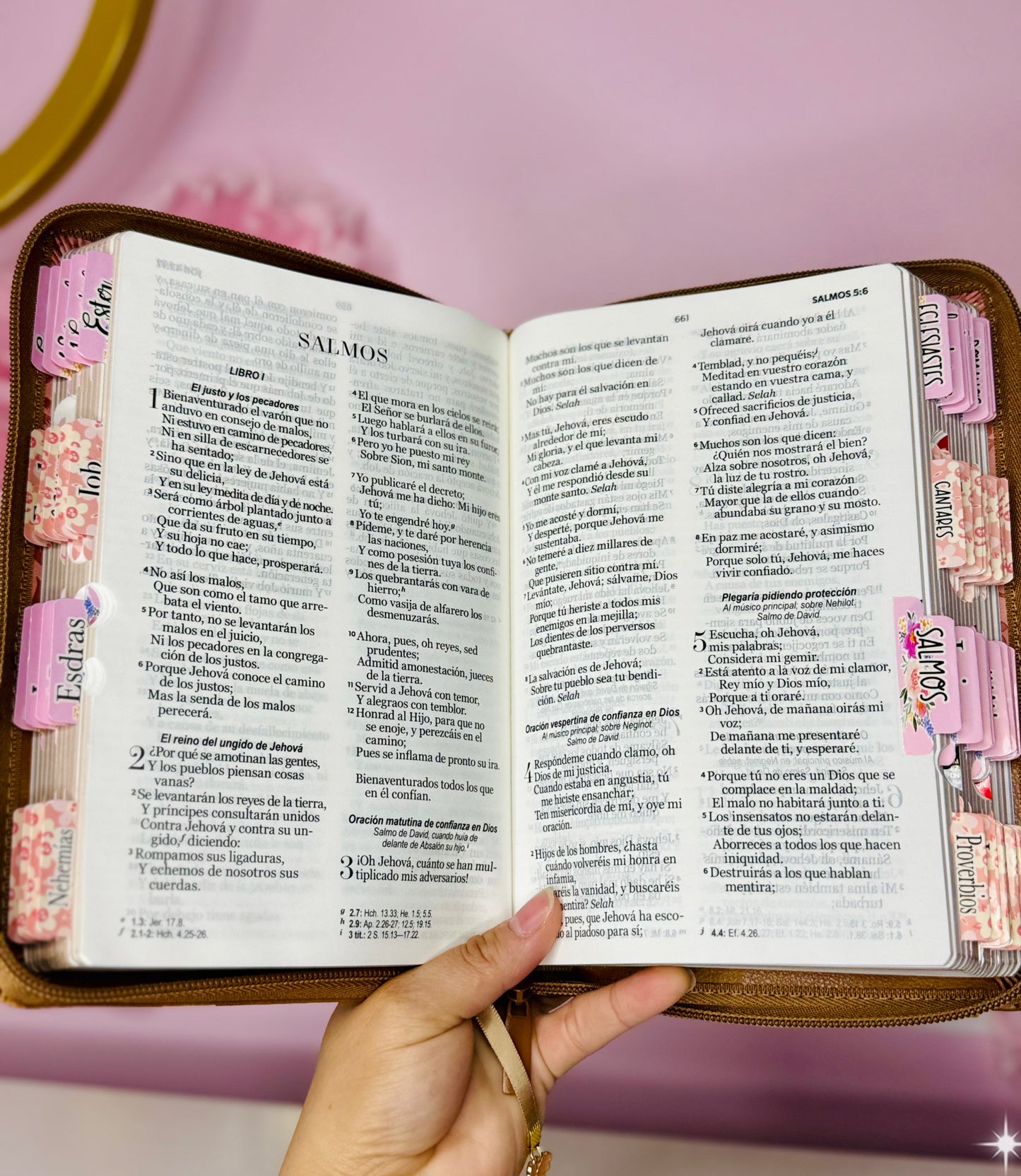 Biblia Compacta Letra Grande