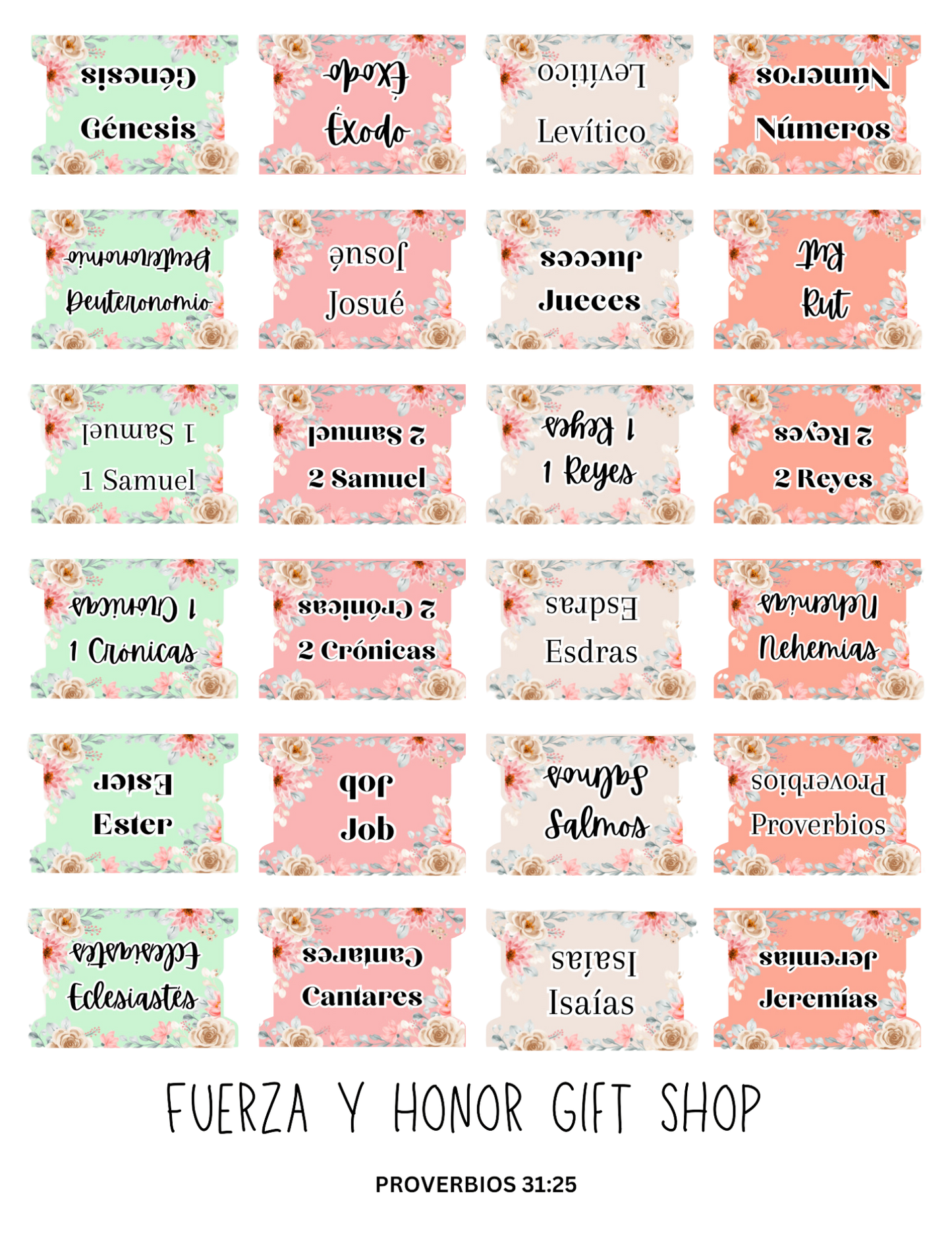 Biblia NVI Ilustra tu Fe