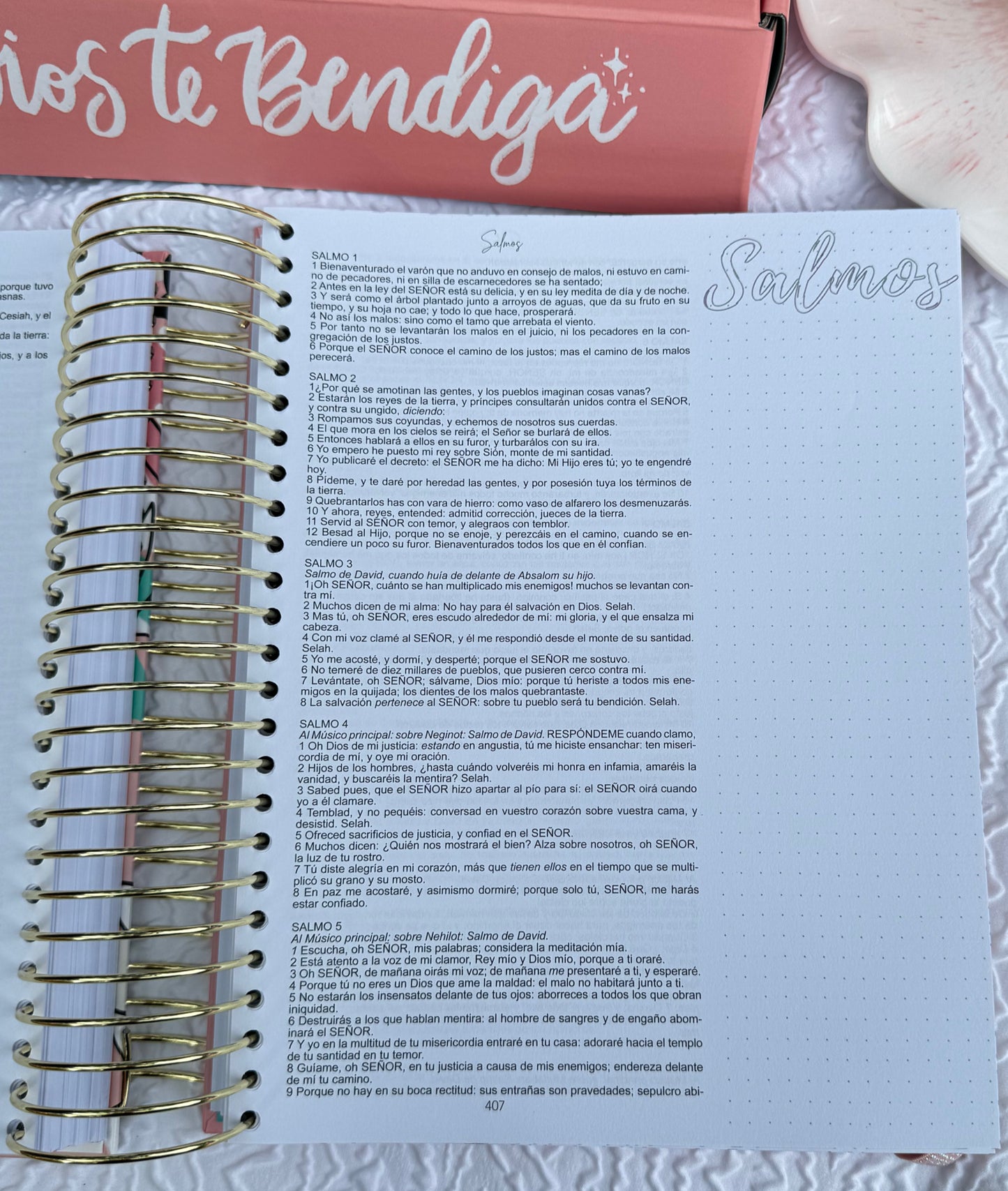 Biblia Bonita para Apuntes y Journaling