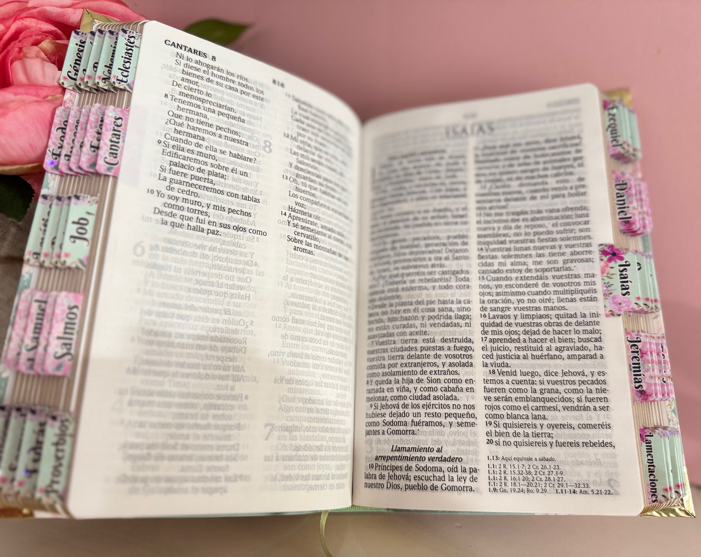 Biblia para mujer color turquesa pastel