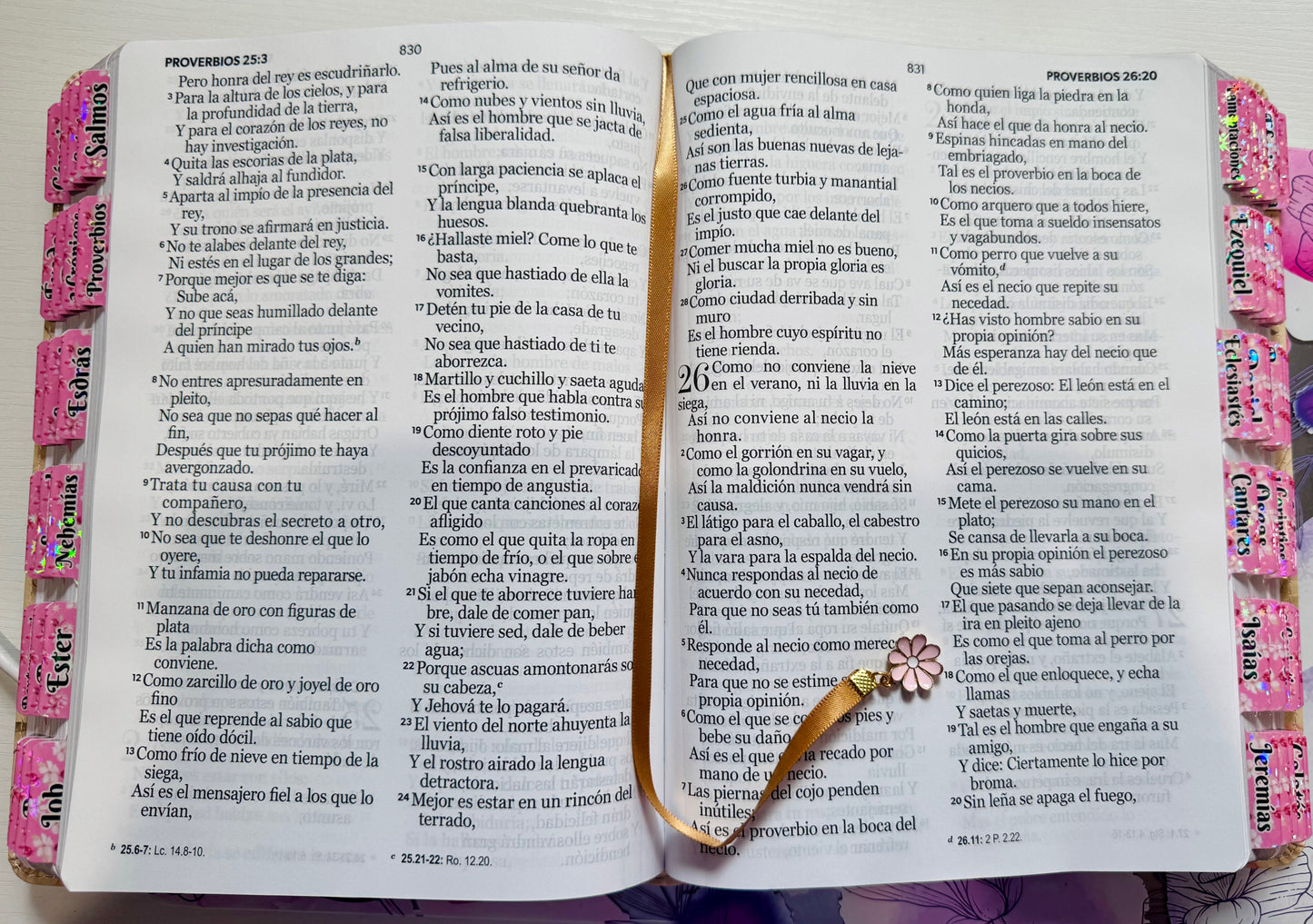 Biblia mujer Sabia Letra Gigante