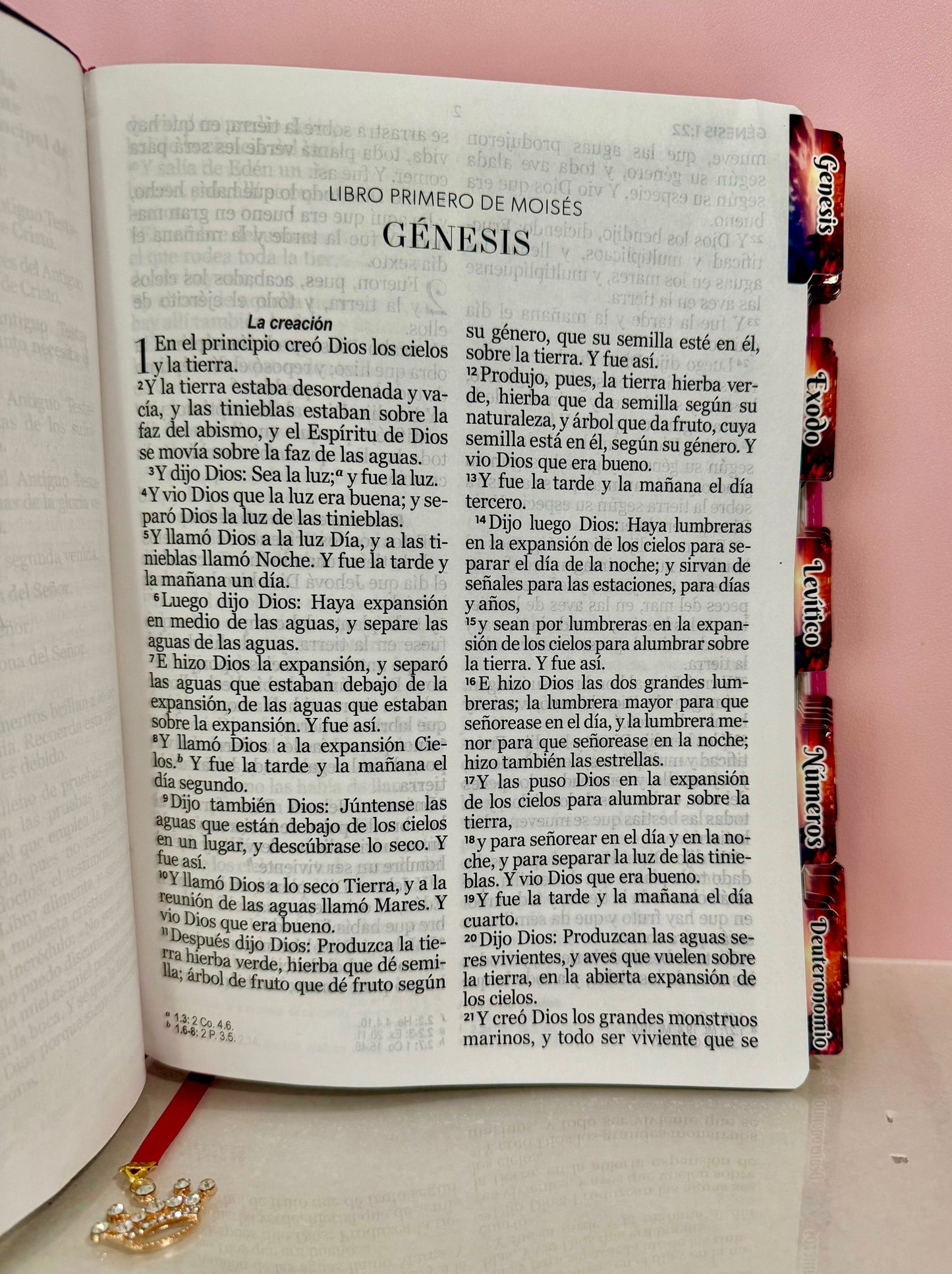 Biblia Arbol de Vida personalizada RV60