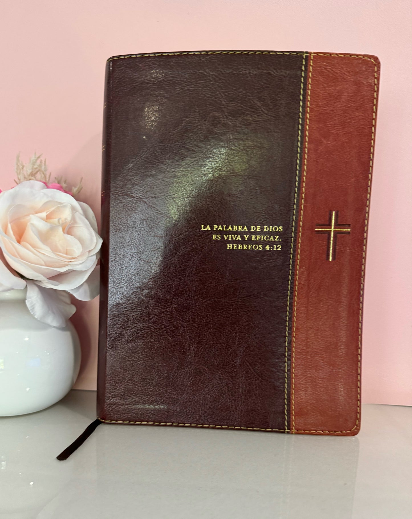 Biblia de estudio letra grande diario vivir personalizada con nombre