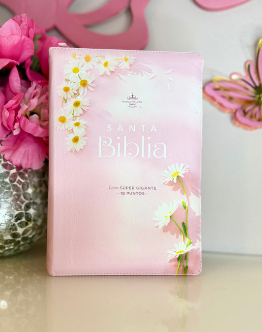 Biblia Letra super gigante con nombre y tabs