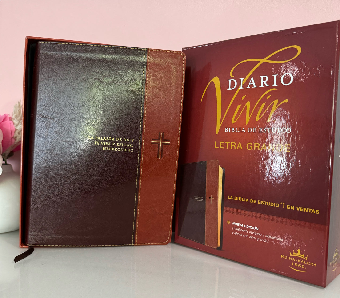 Biblia de estudio letra grande diario vivir personalizada con nombre