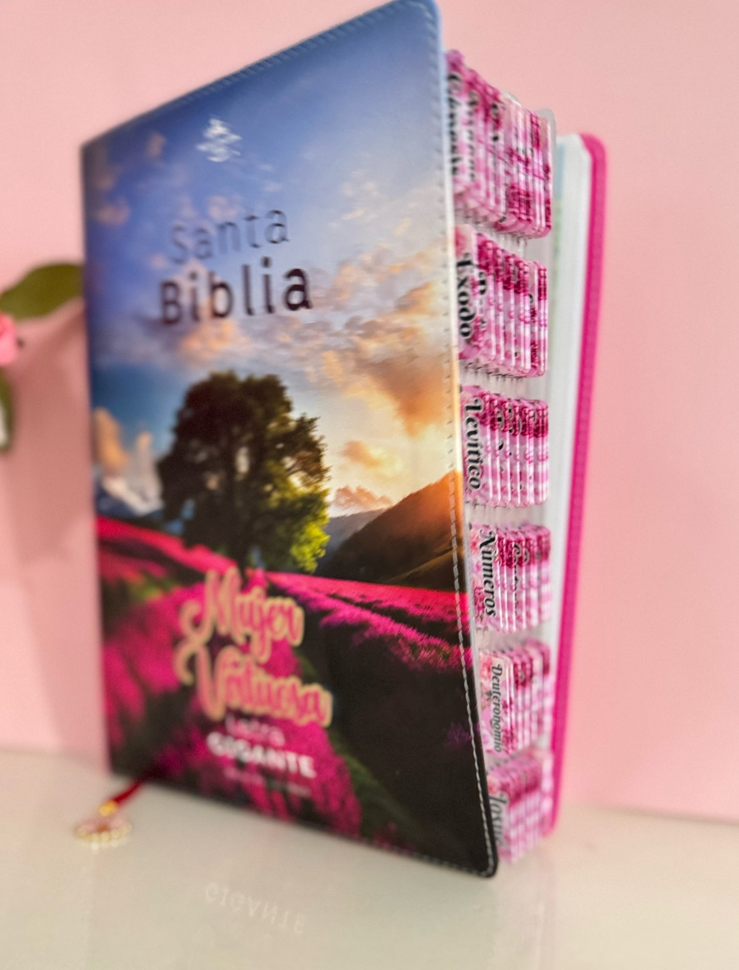 Biblia Arbol de Vida personalizada RV60