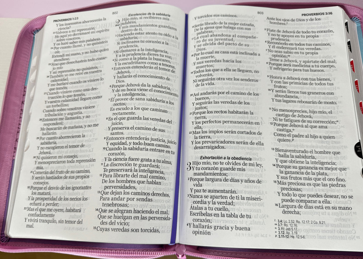 Biblia con Nombre Letra Gigante 15 puntos tri-color celeste/rosa/lila