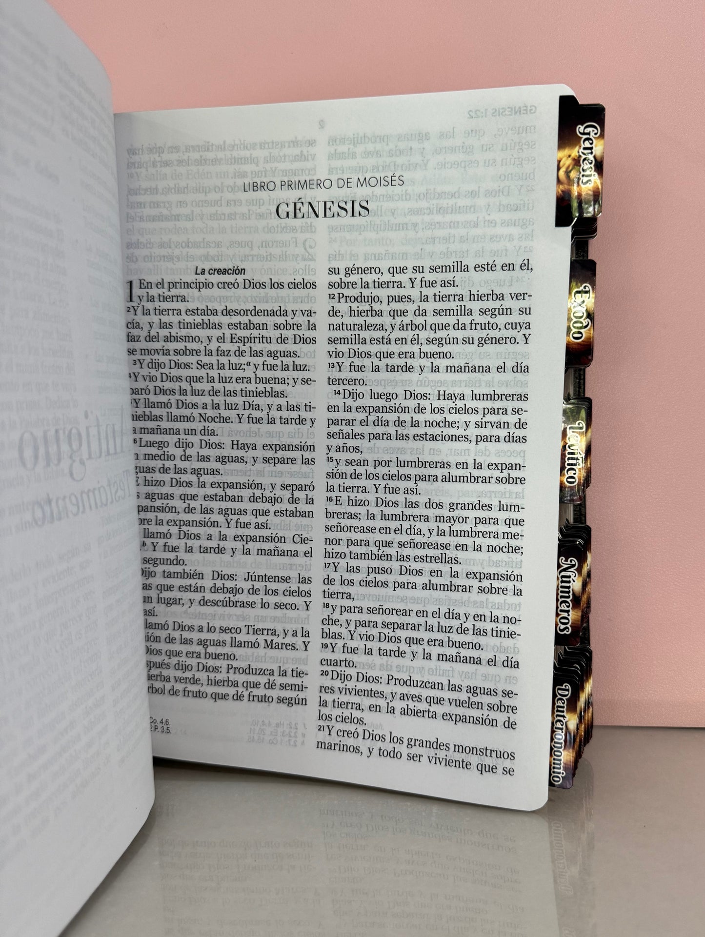 Biblia personalizada Letra Gigante del Leon y el cordero