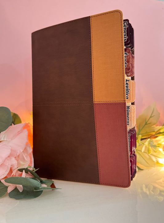 Biblia de Estudio Arcoíris tricolor personalizada con separadores