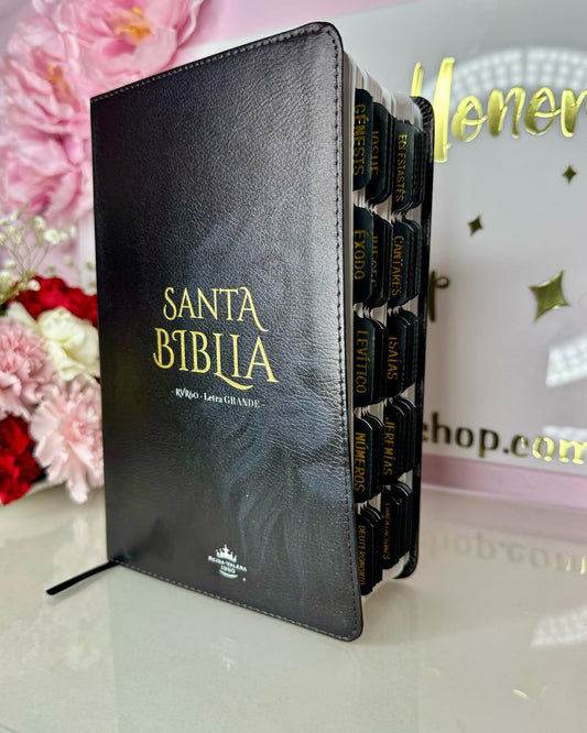 Biblia Leon de Juda