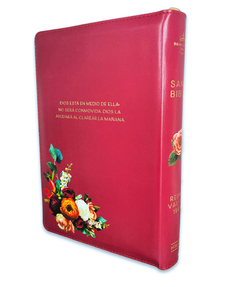 Biblia Letra Gigante tamaño manual color Rojo Vino