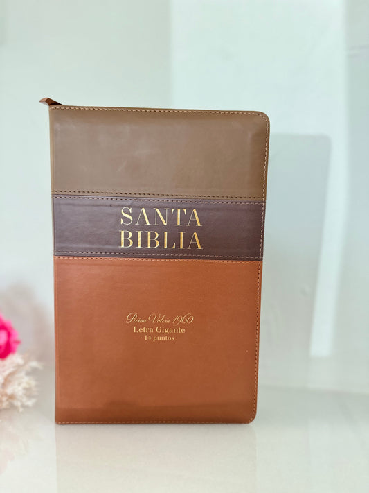 Biblia cafe  tri-color Letra Gigante con separadores