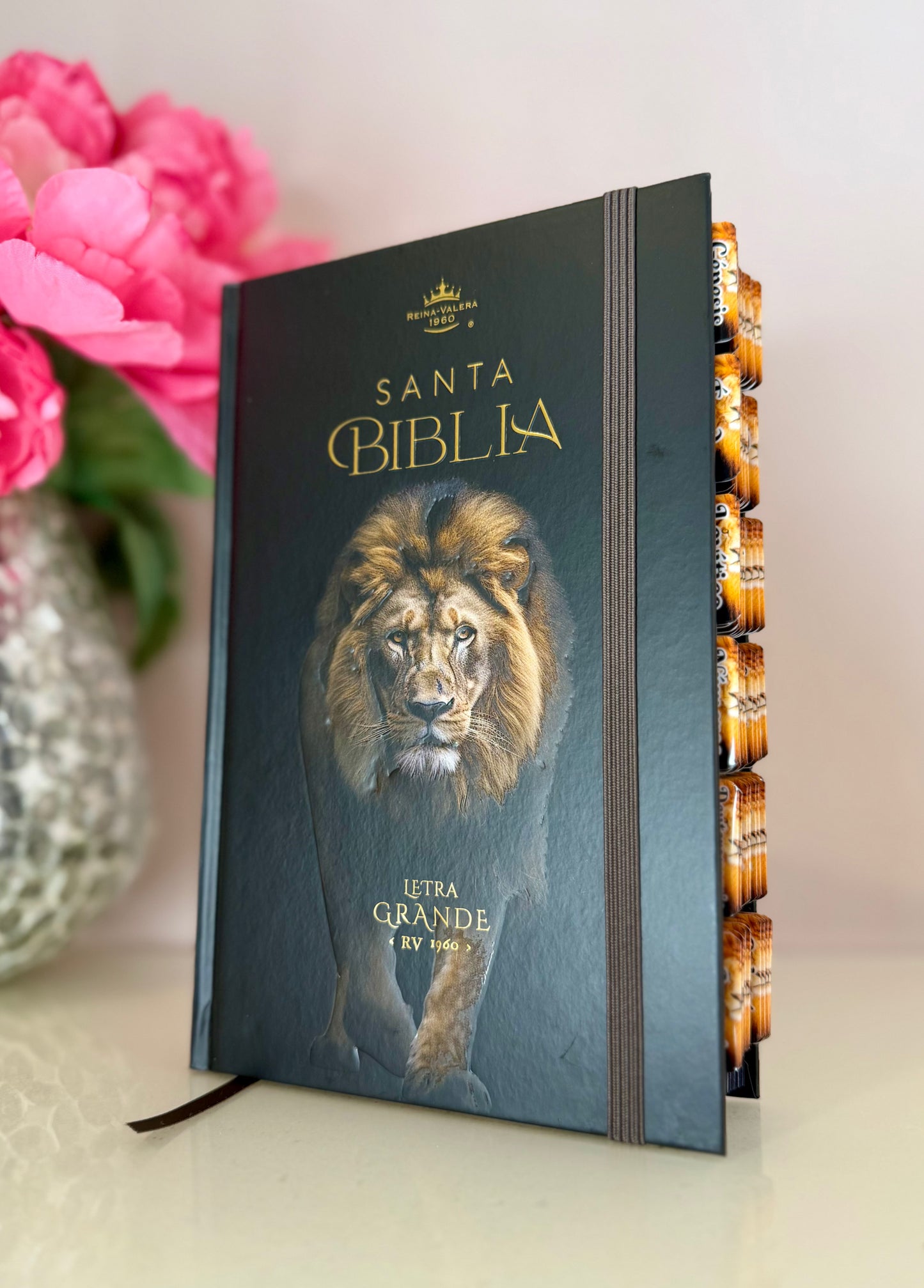 Biblia del Leon tamaño manual con nombre y separadores