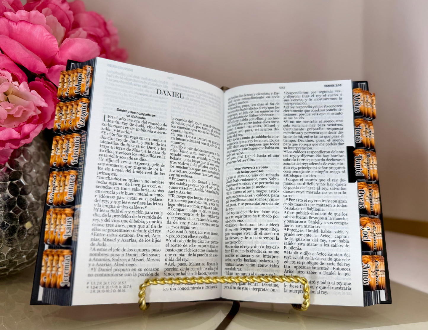 Biblia del Leon tamaño manual con nombre y separadores